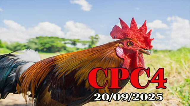 Clip đá gà C4 Campuchia mới nhất ngày 20/09/2025