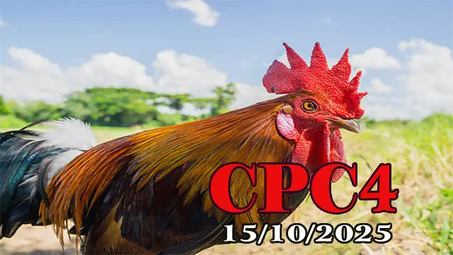 Video phát lại đá gà C4 Thomo hôm nay 15/10/2025